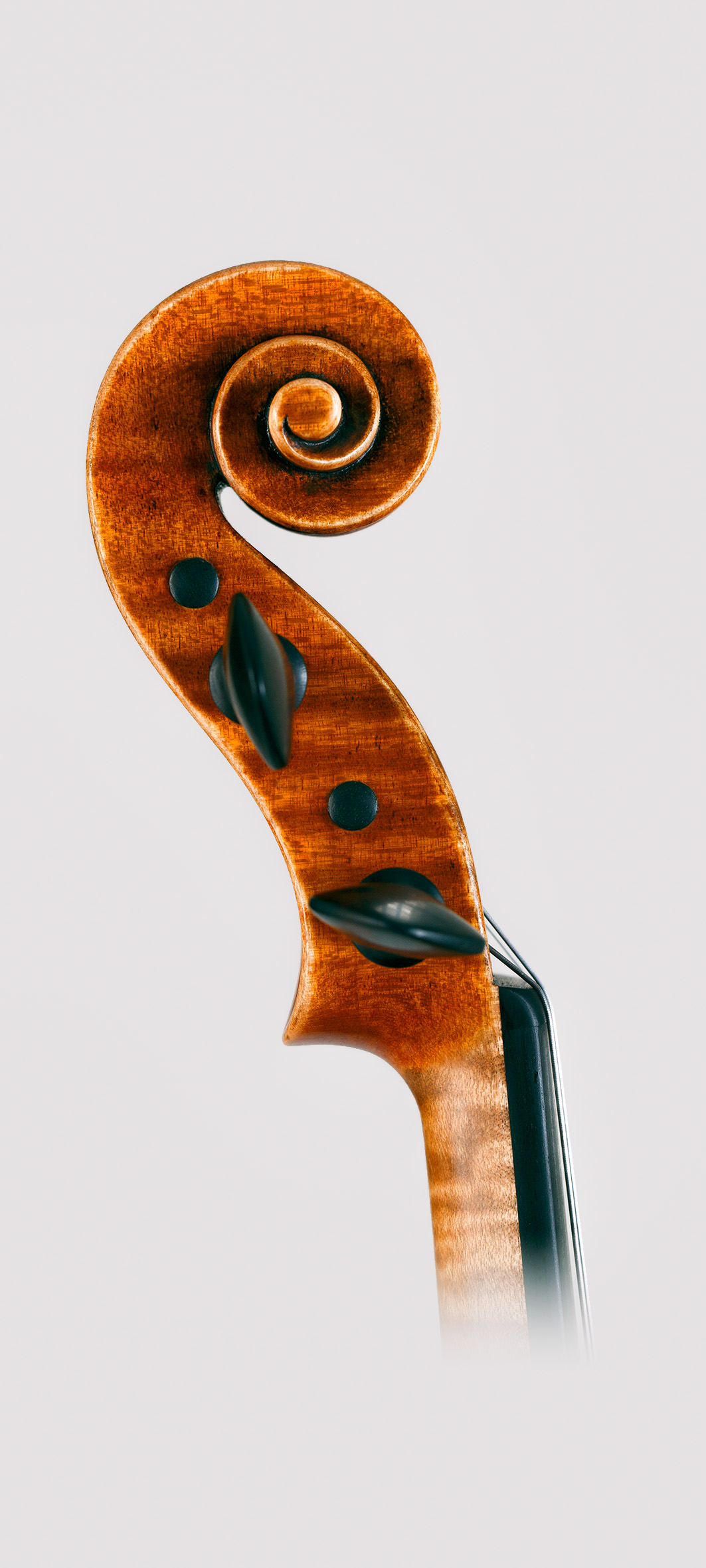 Franceso Ruggeri 2023 - Foto 1