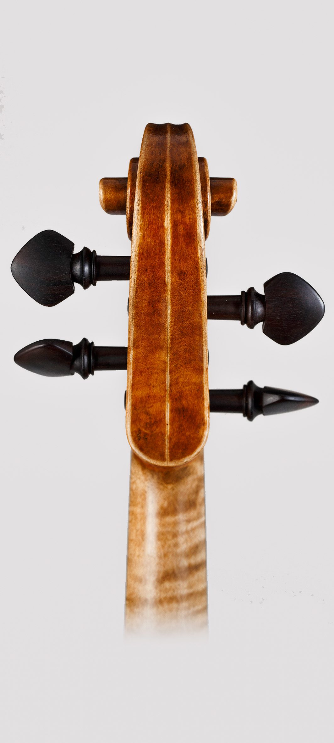 Franceso Ruggeri 2023 - Foto 2