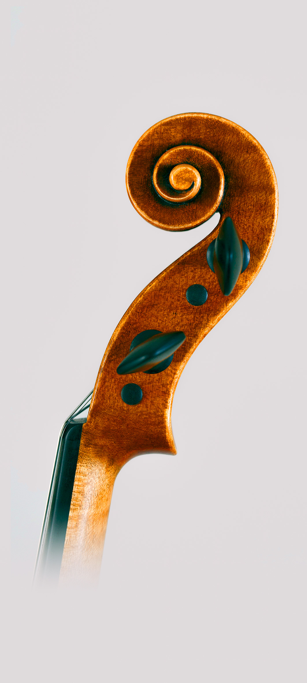 Franceso Ruggeri 2023 - Foto 4