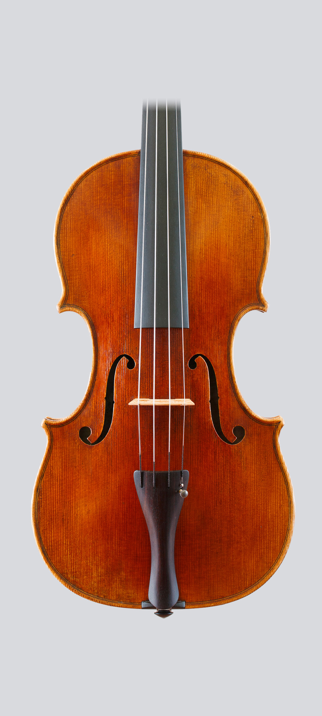 Franceso Ruggeri 2023 - Foto 5