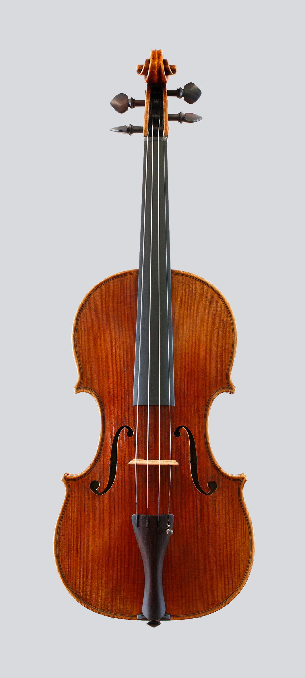 Franceso Ruggeri 2023 - Foto 7