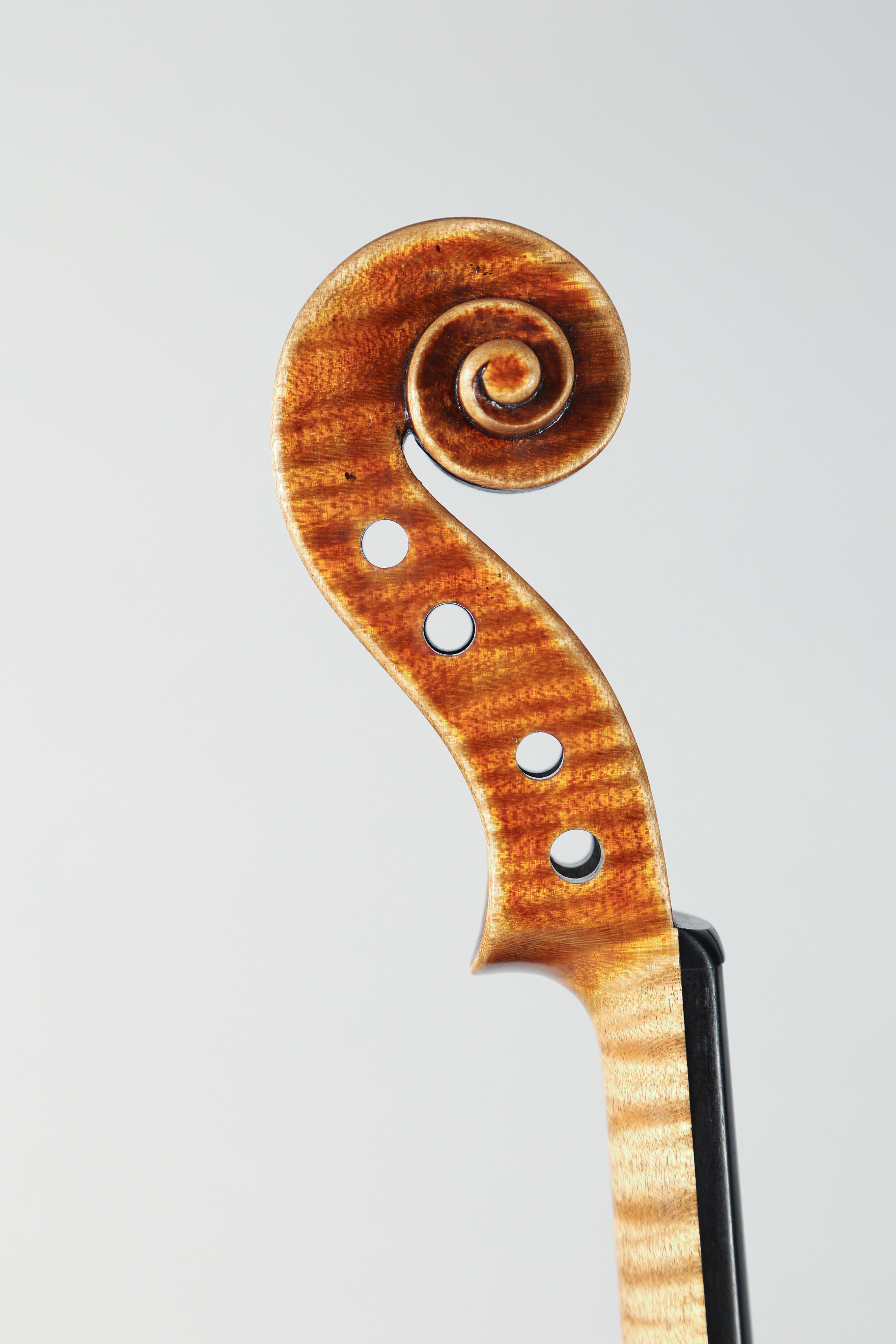 Guarneri del Gesu 2018 - Foto 1