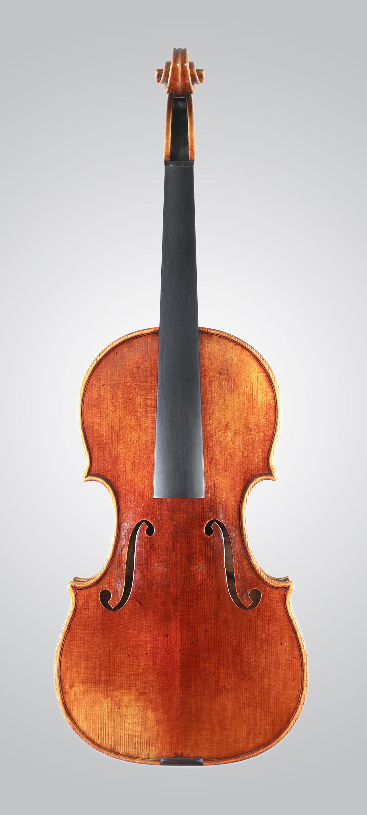 Guarneri del Gesu 2018 - Foto 3