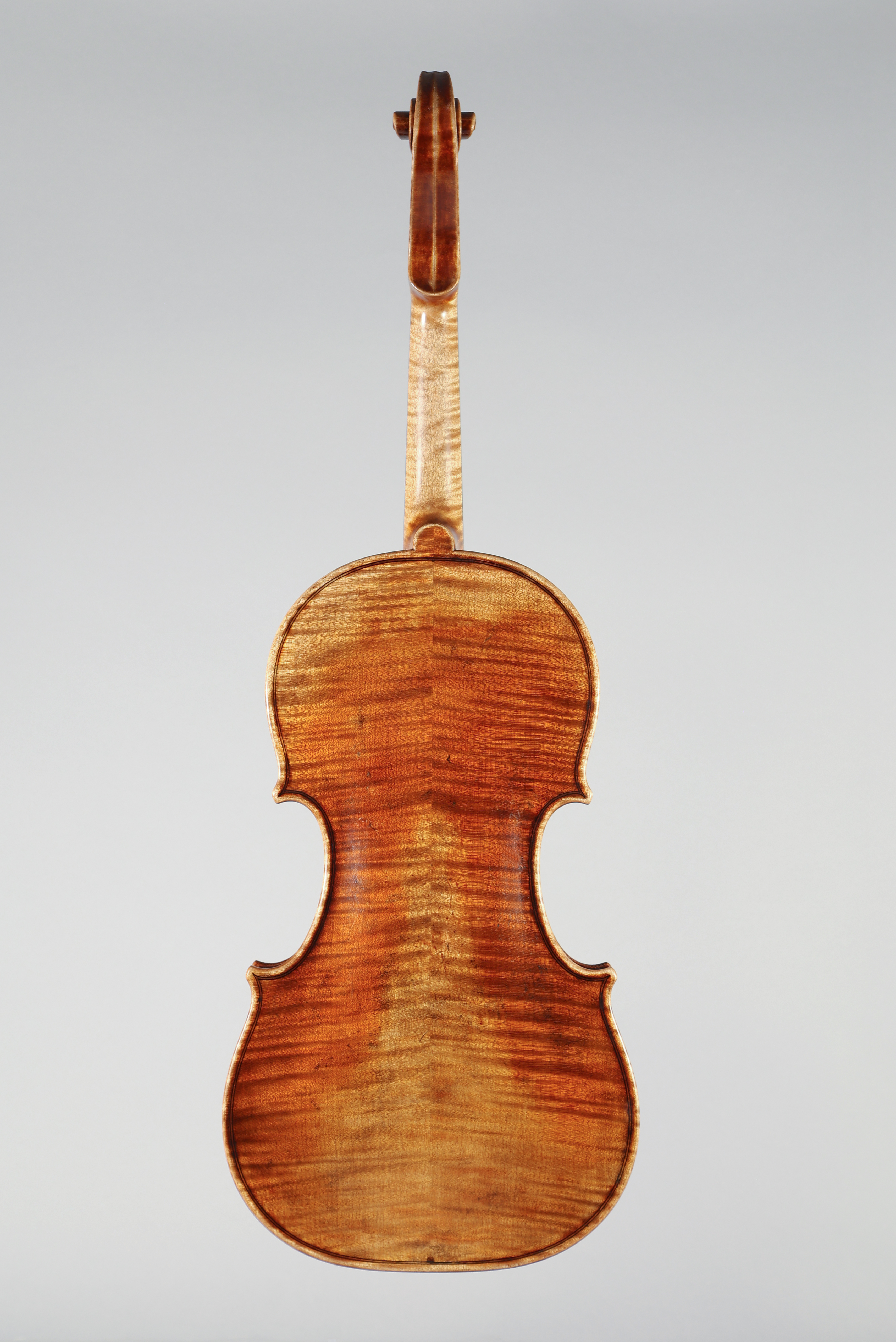 Guarneri del Gesu 2018 - Foto 4