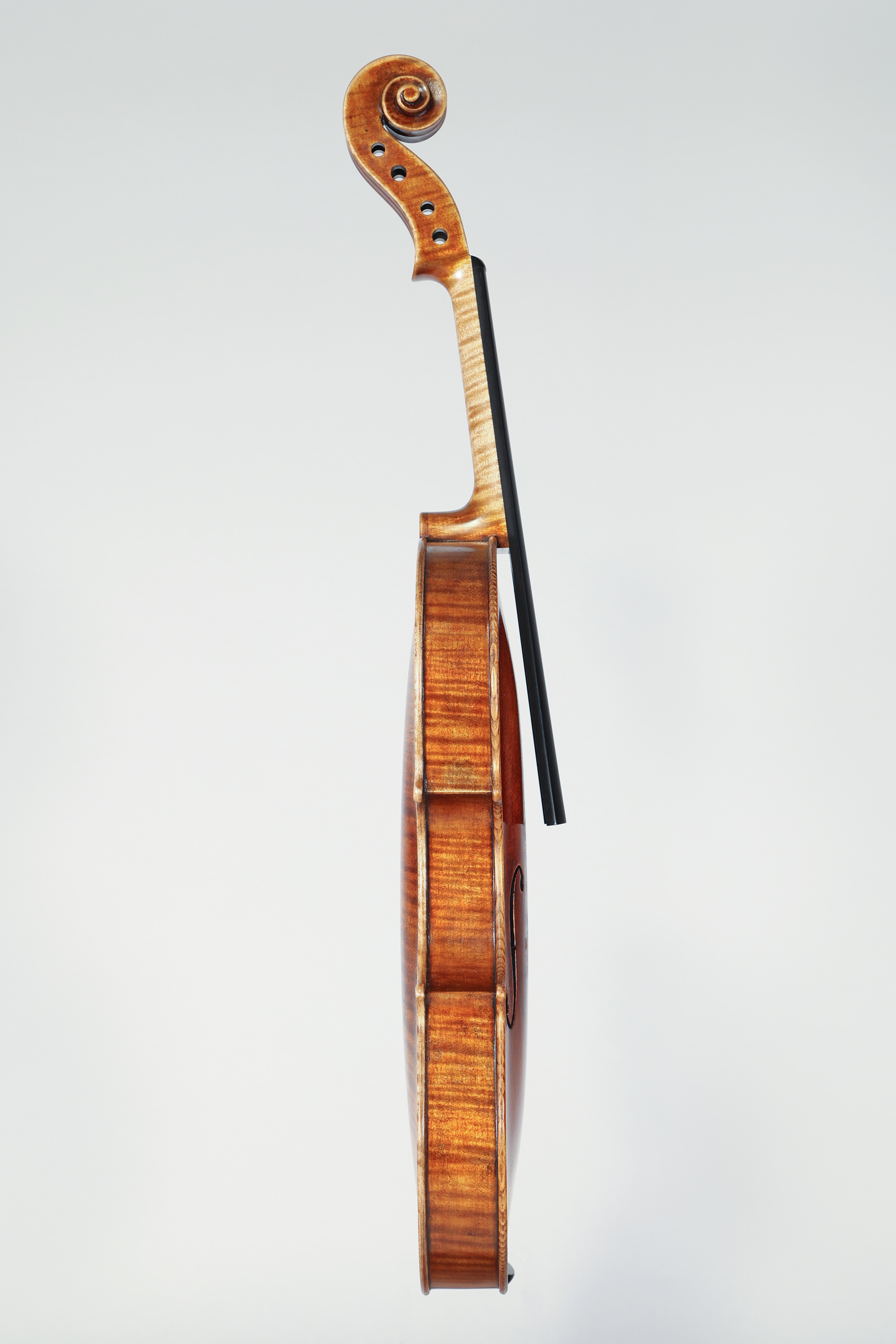 Guarneri del Gesu 2018 - Foto 6